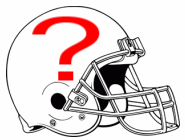 Detroit Academy of the Americas Tigers